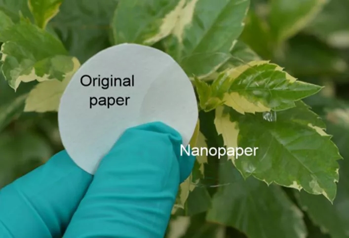04.webp.jpg